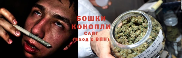стаф Горняк