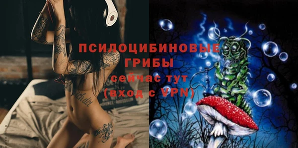 стаф Горняк