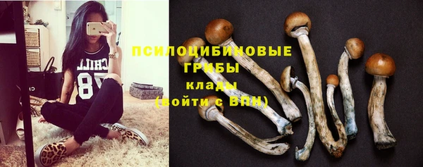 не бодяженный Горнозаводск