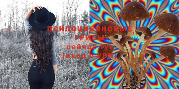 молекула духа Козельск