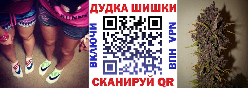 OMG вход  Жиздра  Бошки Шишки план 